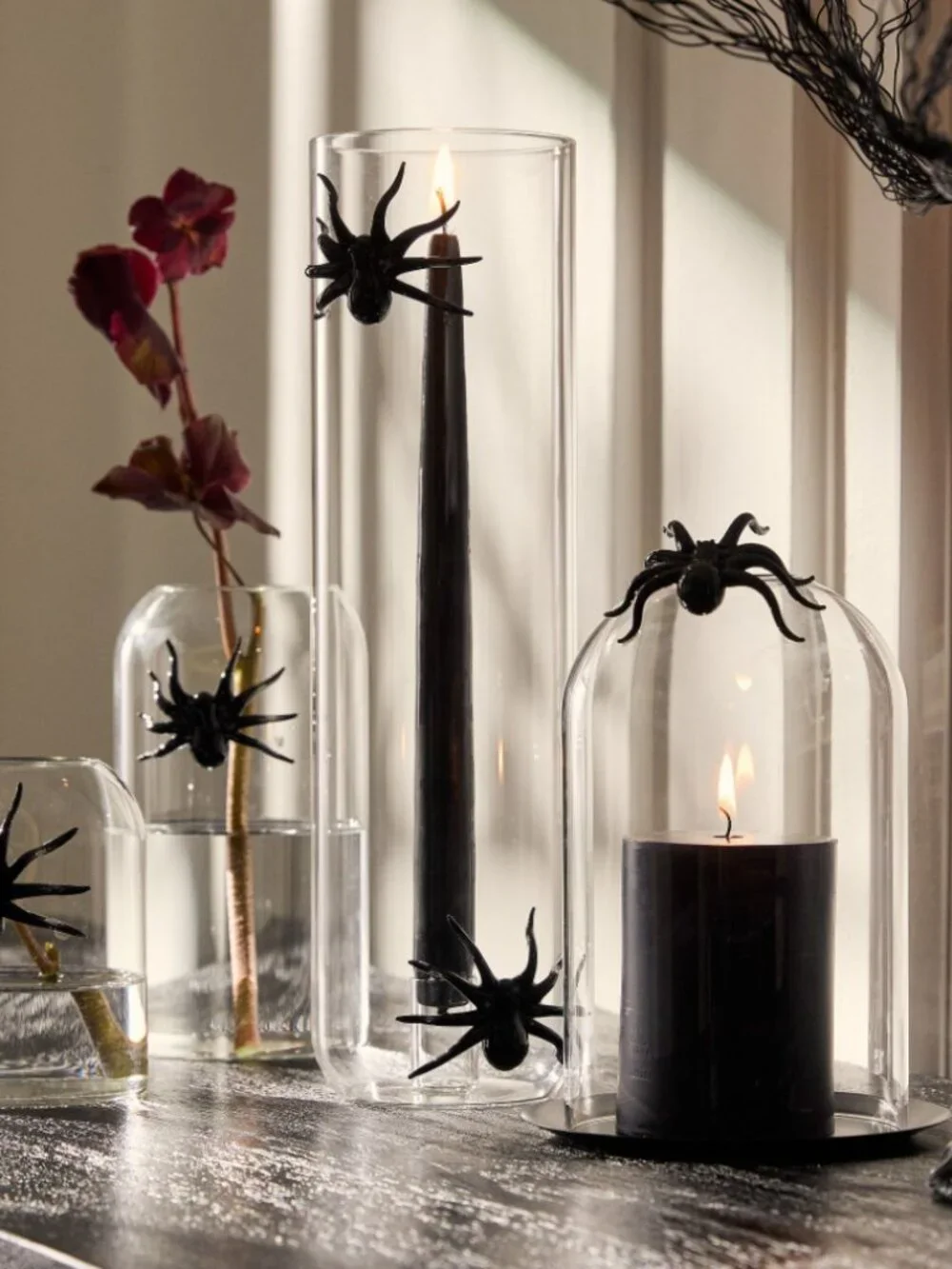 West Elm Glass Spider Taper Hurricane Candleholder
